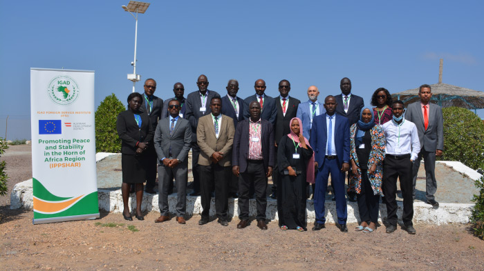 Institutional strengthening of IGAD Diplomatic Academies workshop